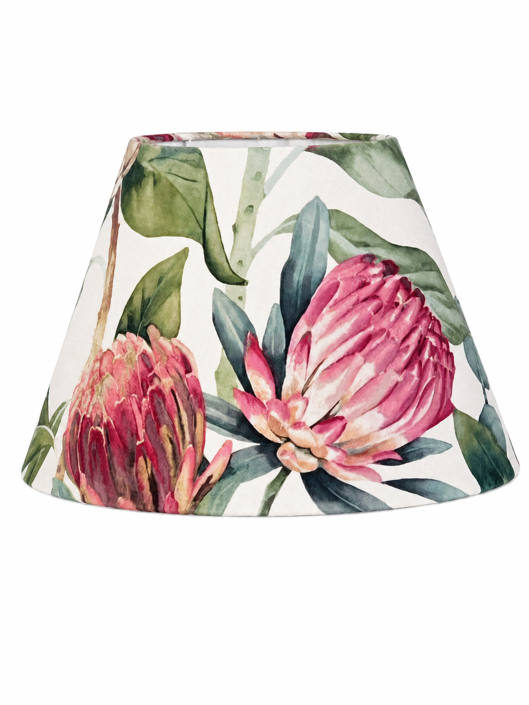 Conical protea