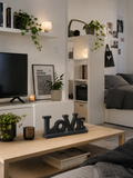 Love sign 