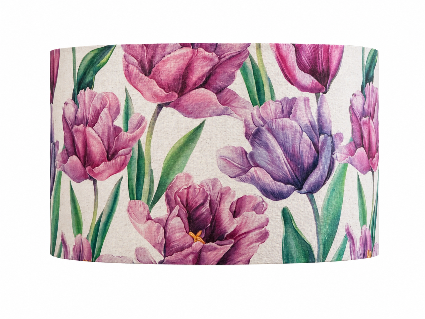 Parrot tulips shade