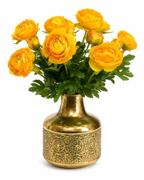 Ranunculus in vase