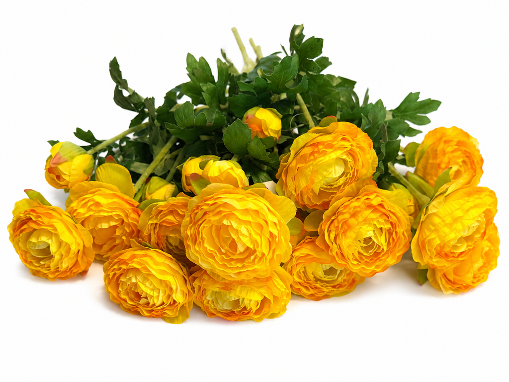 Ranunculuses