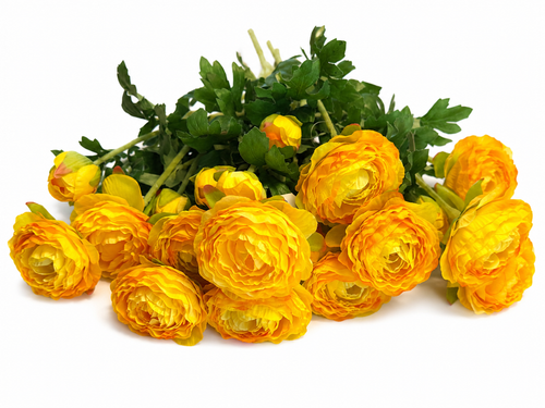Ranunculuses