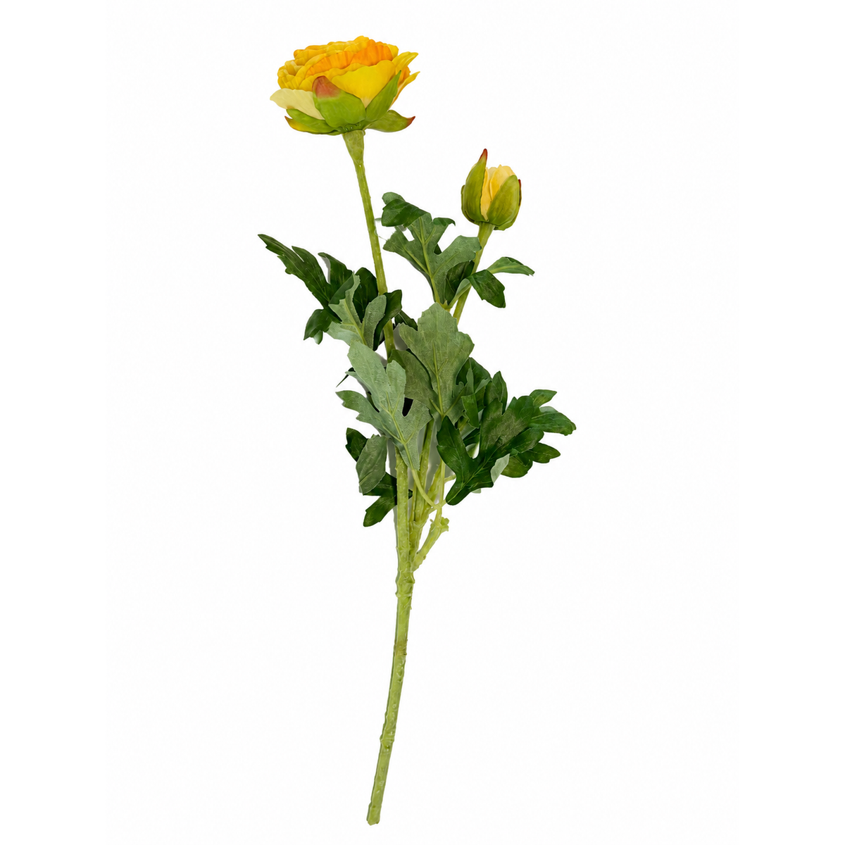 Sárga boglárka műszár (40 cm) – 2 virág/szár