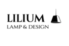 Company logo1