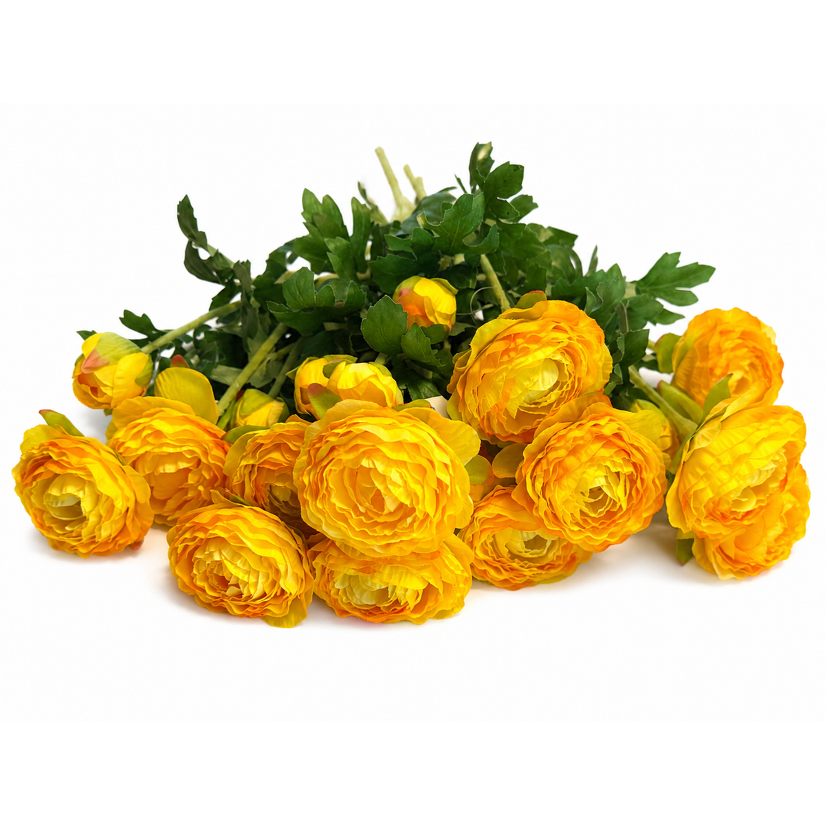 Yellow Ranunculus Stem (40 cm) – with 2 flowers/stem